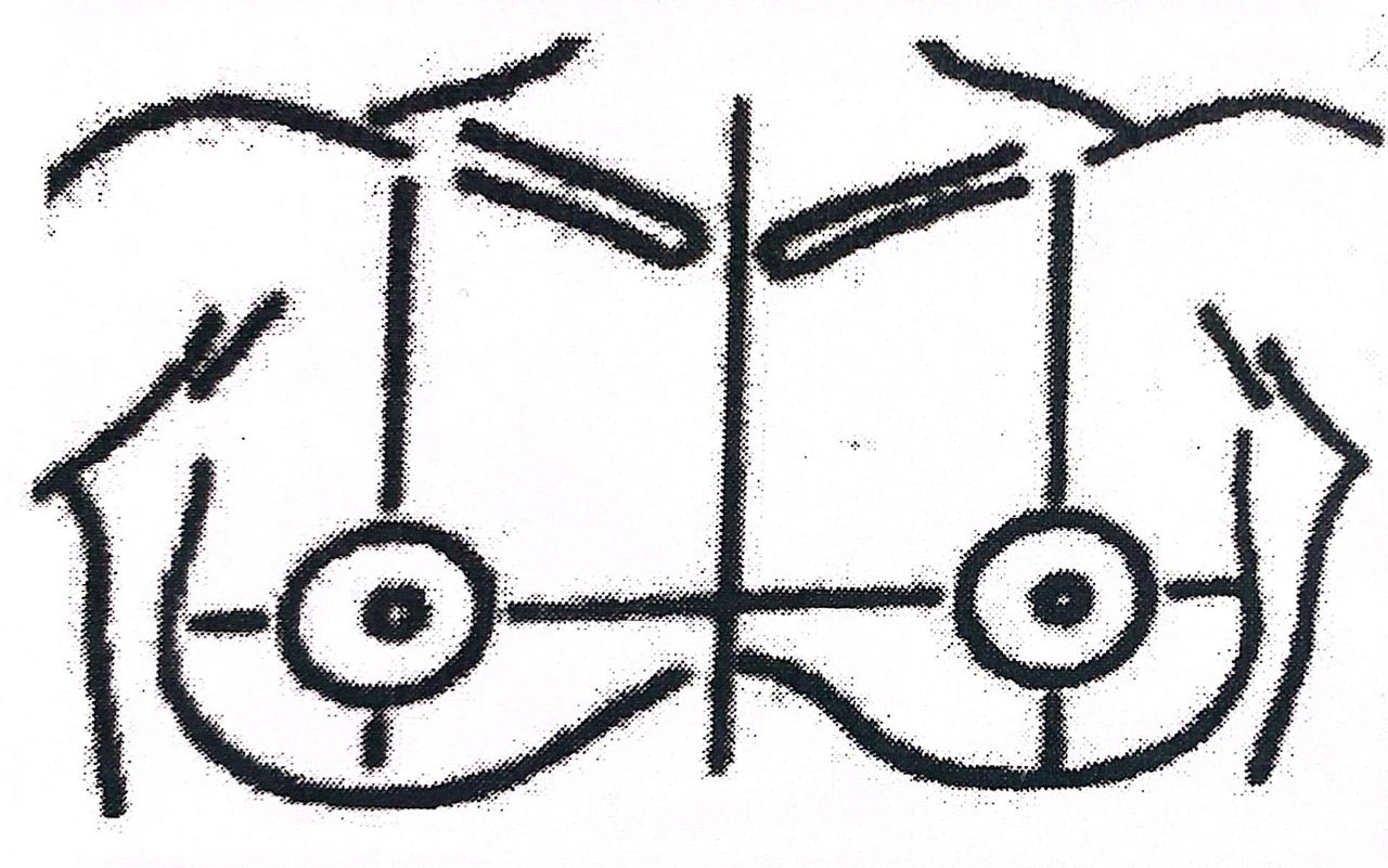 Desenho das mamas